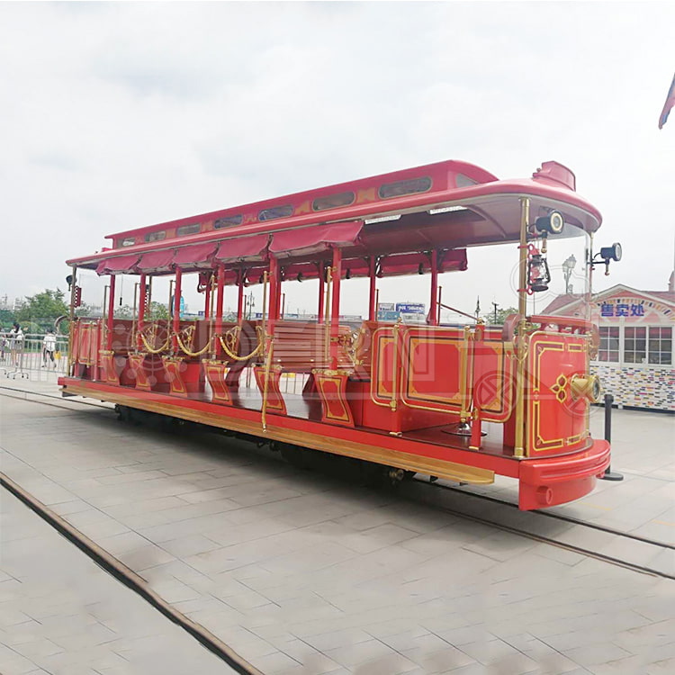 Tourist Track Train