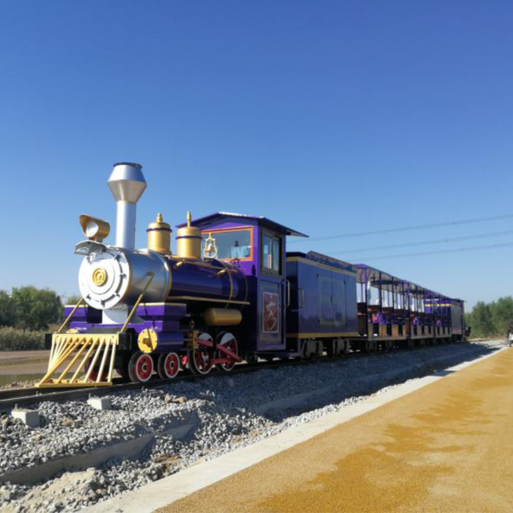 Tourist Track Train