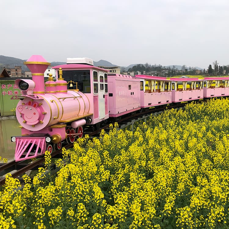 Tourist Track Train